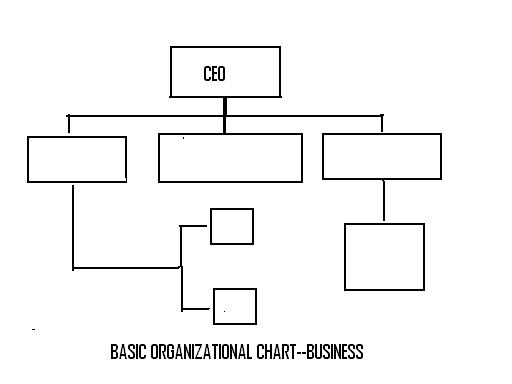 lrportf--basic-organizational-chart--business.jpg