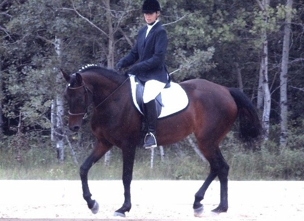 sf--dressage-u.jpg