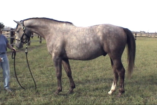 whv-fritz-confo.jpg